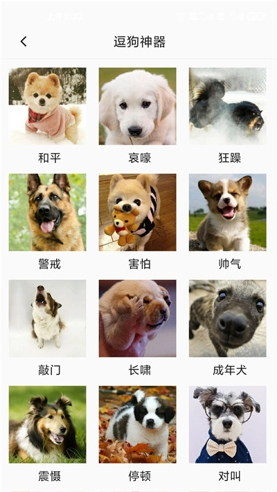 狗狗狗语翻译器