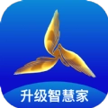 三翼鸟正版