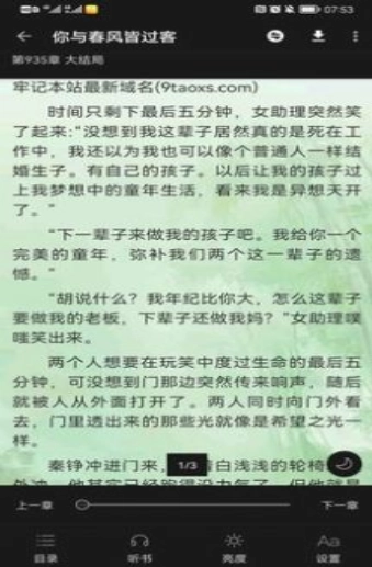极光小说