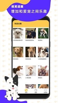 猫狗翻译神器安卓直装版图2