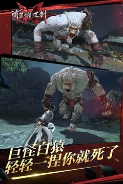 流星蝴蝶剑