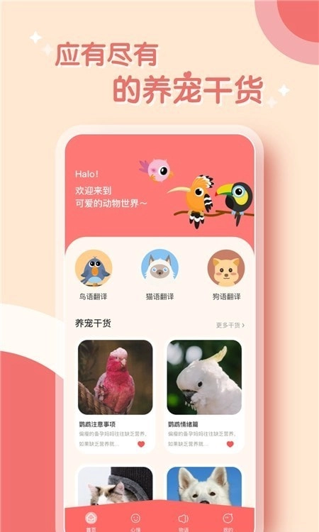 鹦鹉翻译器手机最新版图1