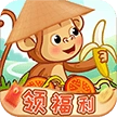 农场开心果