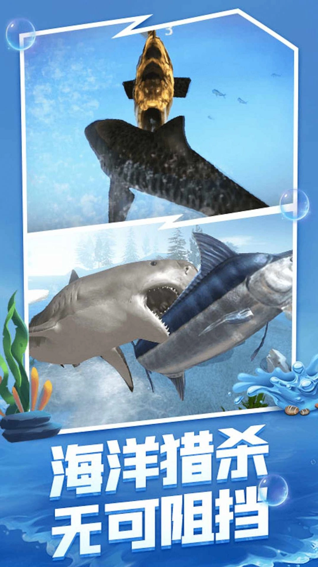 海洋大猎杀(1)