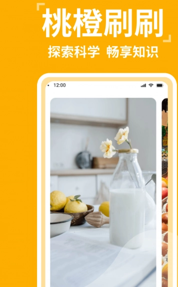 桃橙刷刷图1