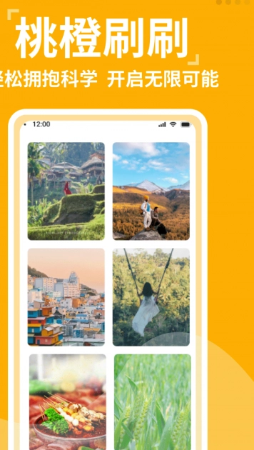 桃橙刷刷图3