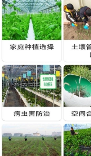 果蔬手册