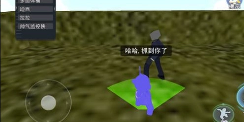 盖瑞模组藏猫猫