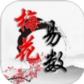 热卜梅花易数免费版