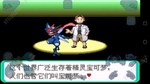 口袋妖怪刽曜之影图2