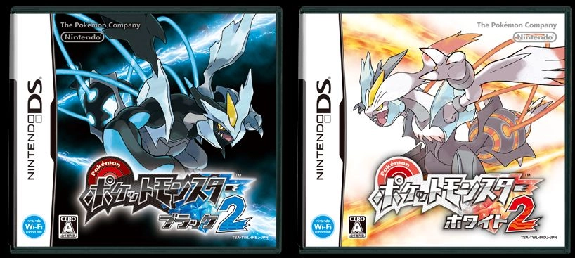 口袋妖怪黑2 中文版-图3