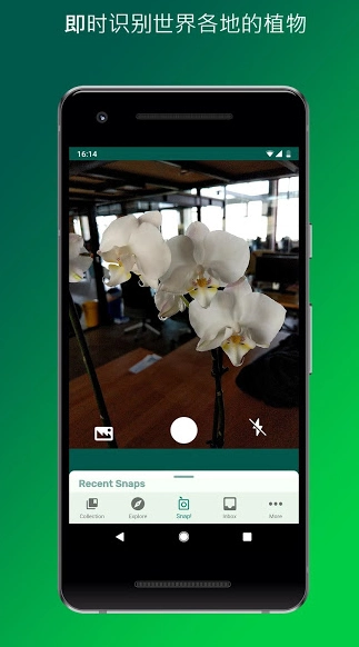 PlantSnap(PlantSnap植物识别)安卓图1