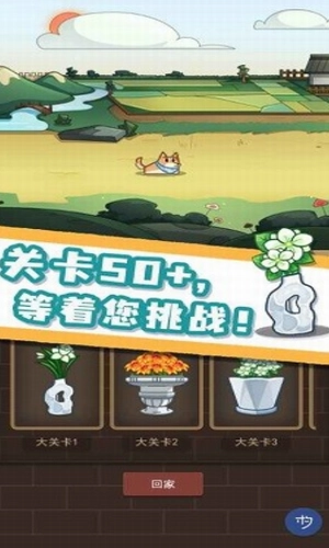 数织画花
