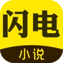 闪电小说免费版