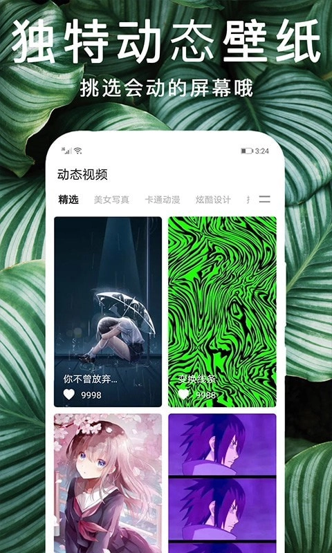 灵猫桌面壁纸最新版图3