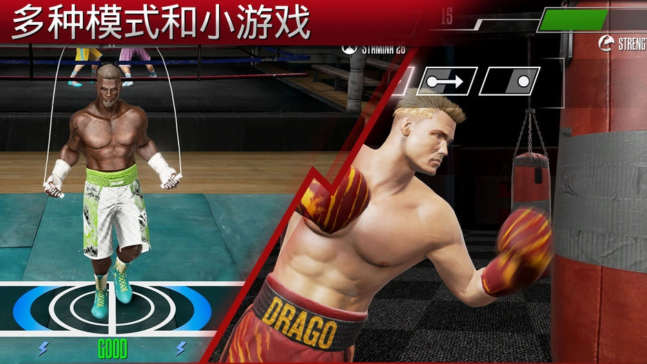 Real Boxing 2