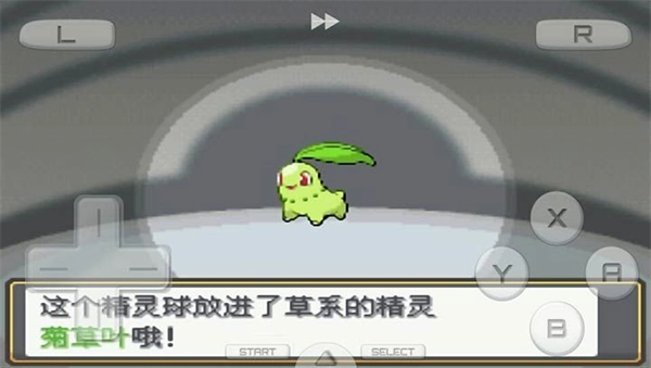 口袋妖怪金银游戏-图1