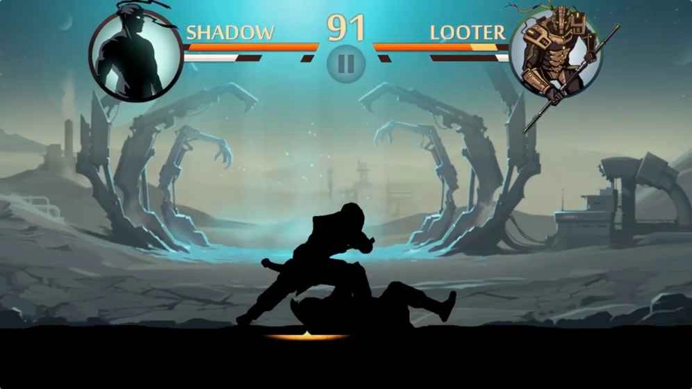 暗影格斗2：特别版图2