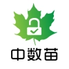 中数苗V1.4