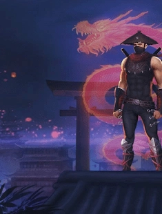 影子忍者2图1