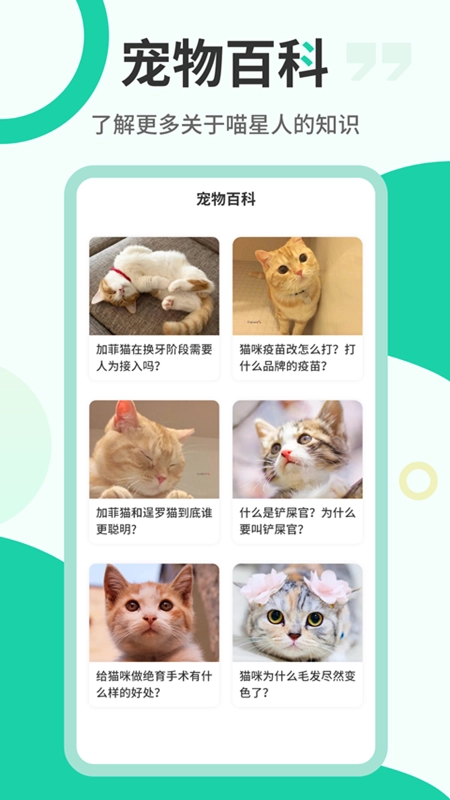 猫叫翻译机最新版图3