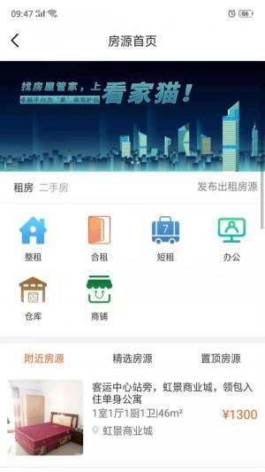 看家猫图3