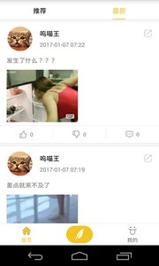 猫咪段子图3