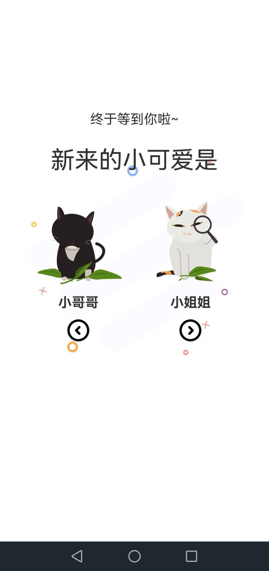喵上漫画图3