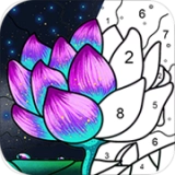 乐涂数字填色 手游直装版