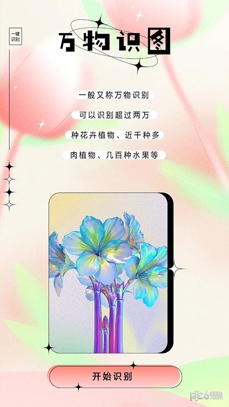 万物识图大师