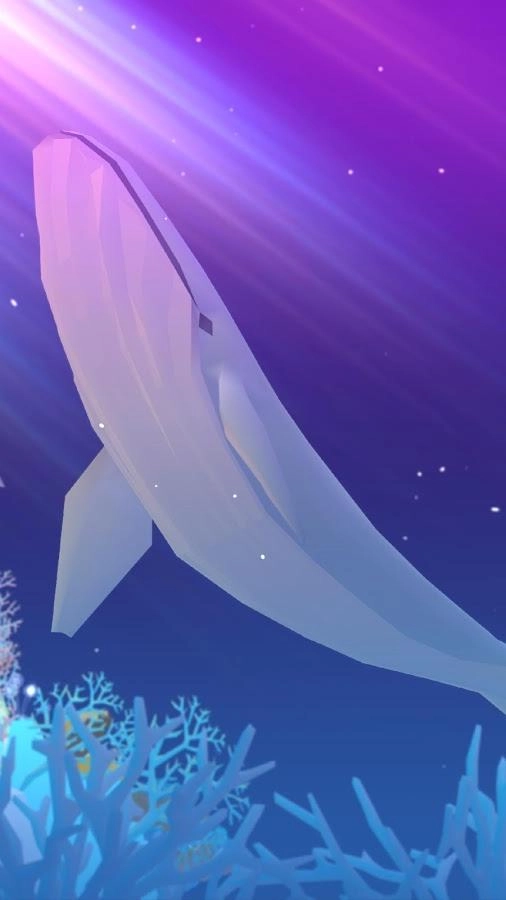 Tap Tap Fish(4)