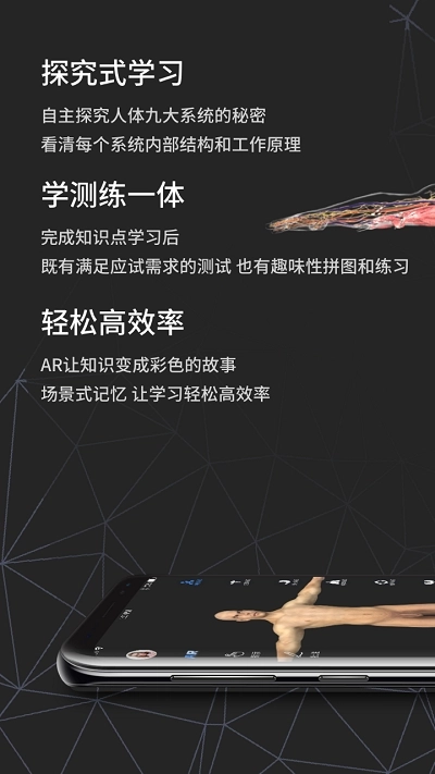 AR人体