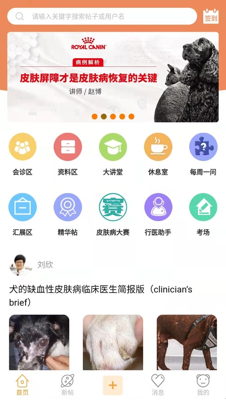 宠医帮老版图3