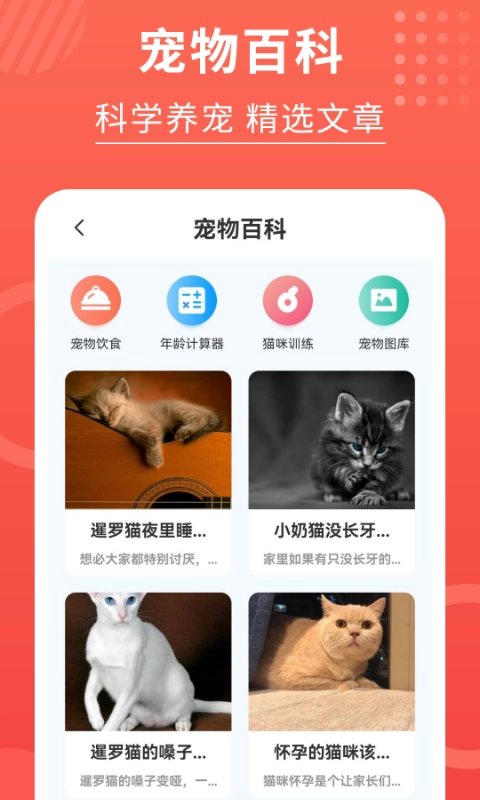 喵星人翻译器图1