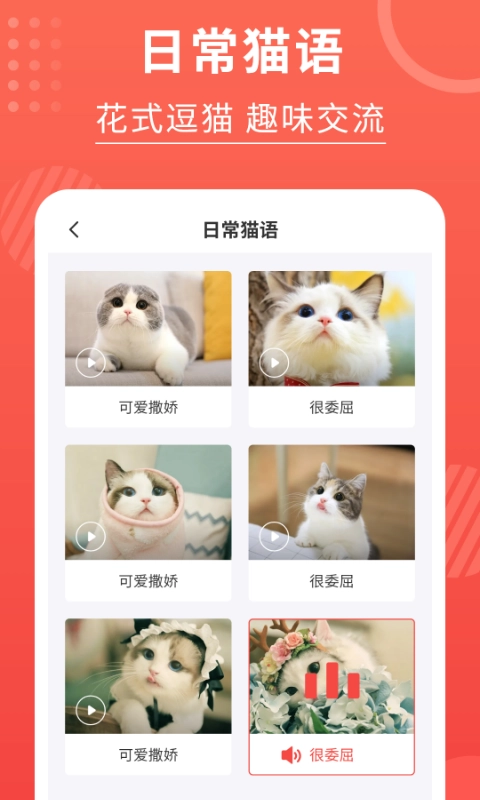 喵星人翻译器图2