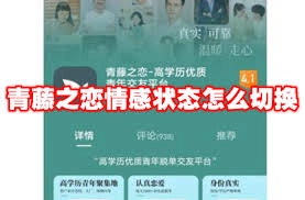 青藤之恋里要怎么设置情感状态呢