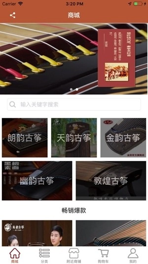 古筝之美图4