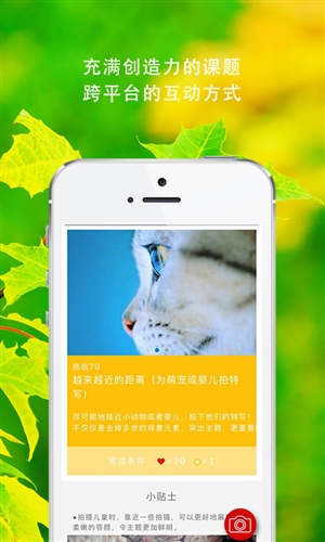 大影家正版图5
