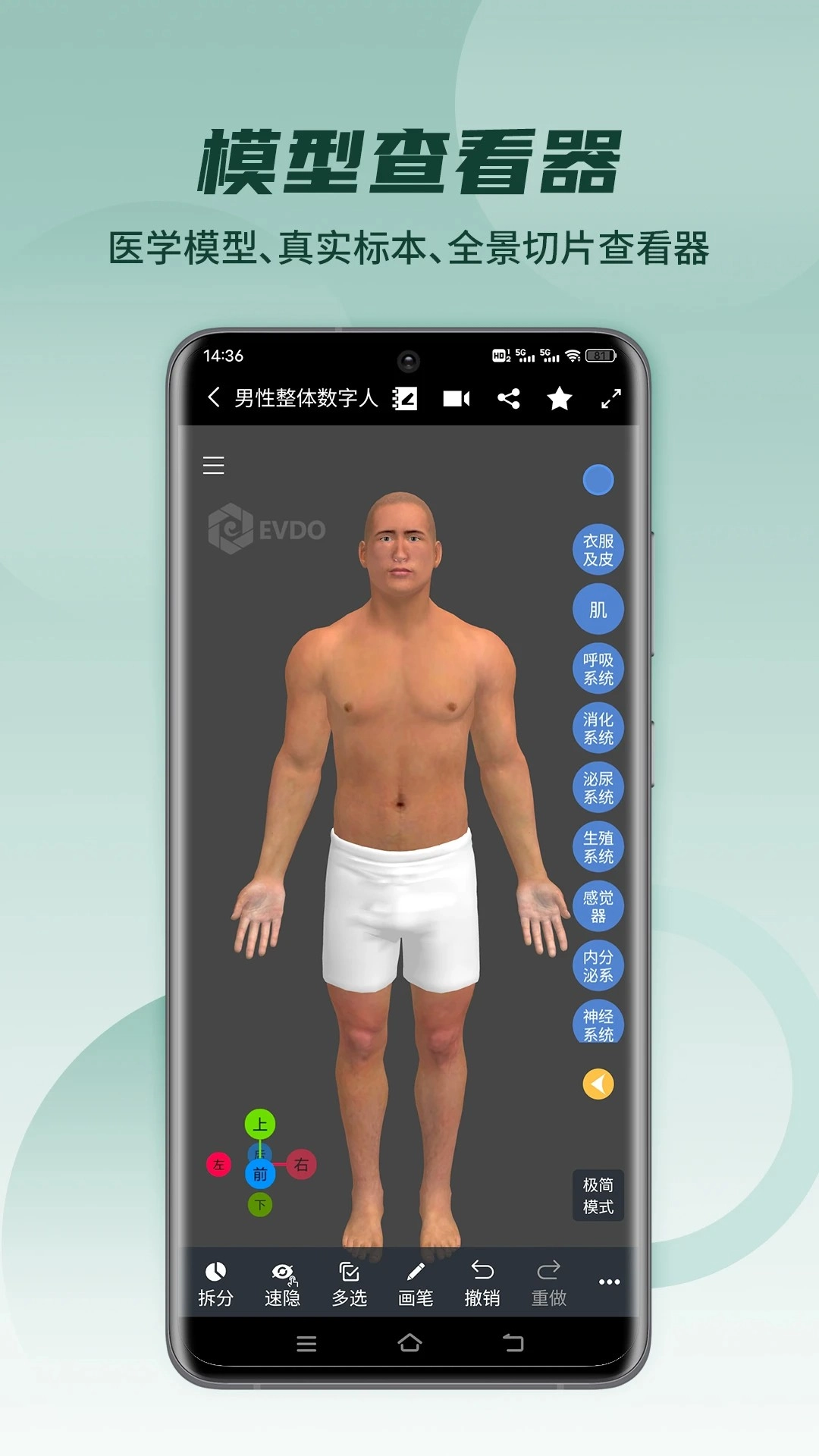医维度解剖老版图2