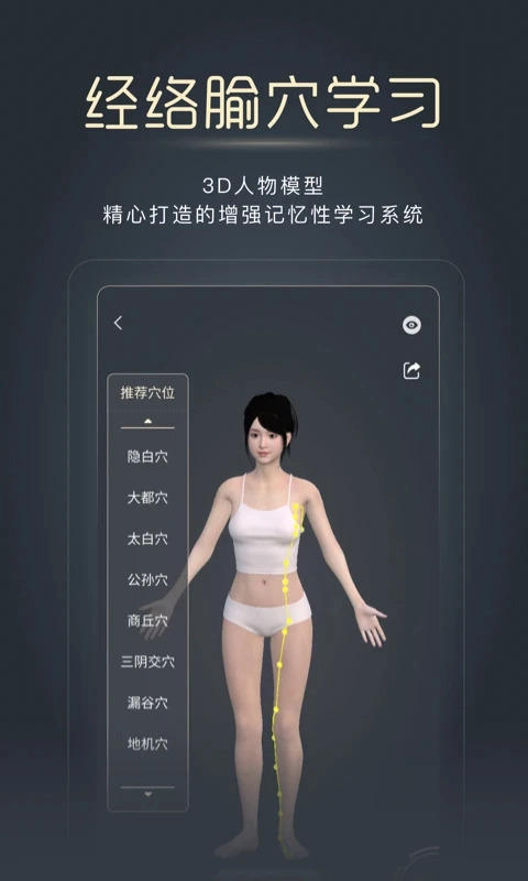 经脉宝纯净版安装包下载