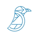 知鸦通识直装版