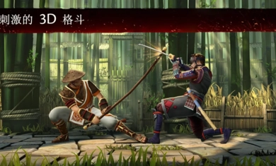 暗影格斗