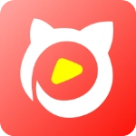猫社区