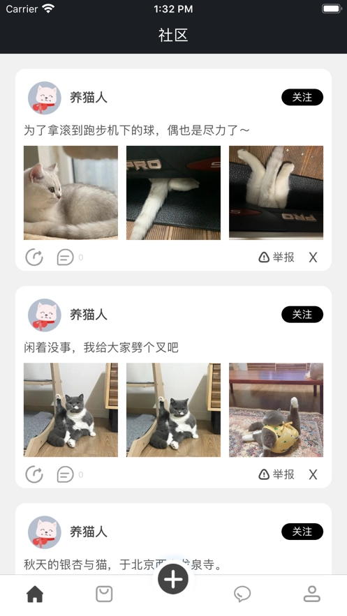 猫社区