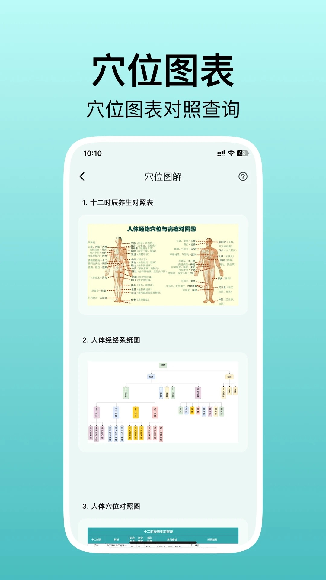 人体穴位图解2026最新版图2