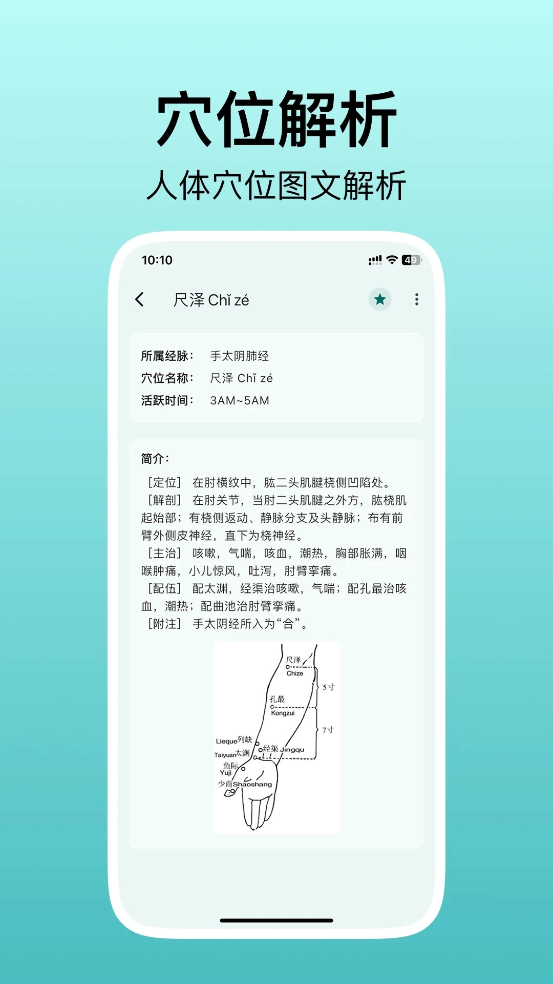 人体穴位图解正版图1
