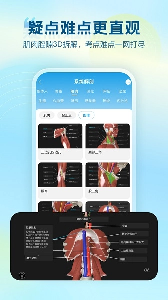 维萨里3D解剖老版