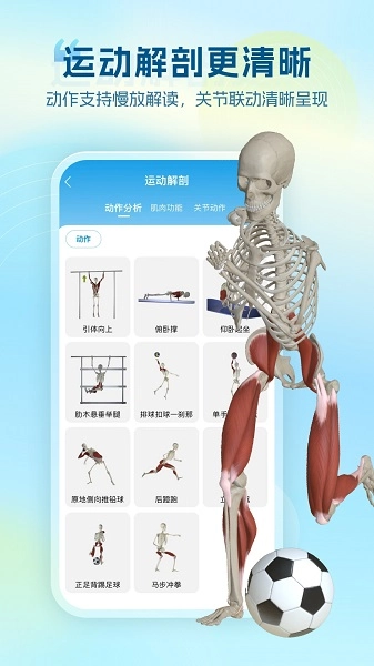 维萨里3D解剖老版