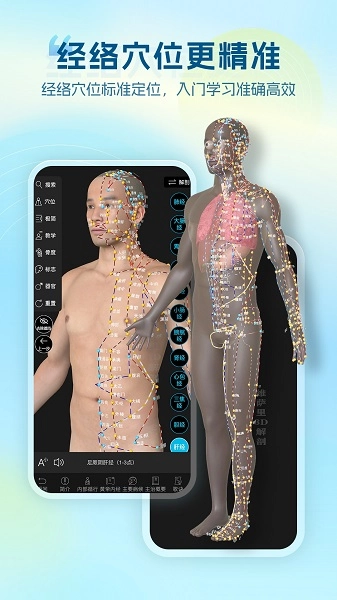 维萨里3D解剖老版