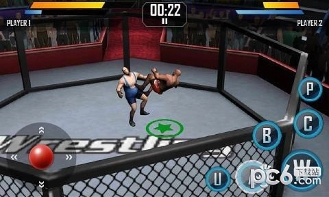真实摔跤图2
